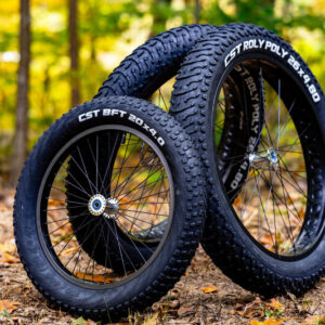 Hoyt Running Chair Fat Tire Wheel Set - product image