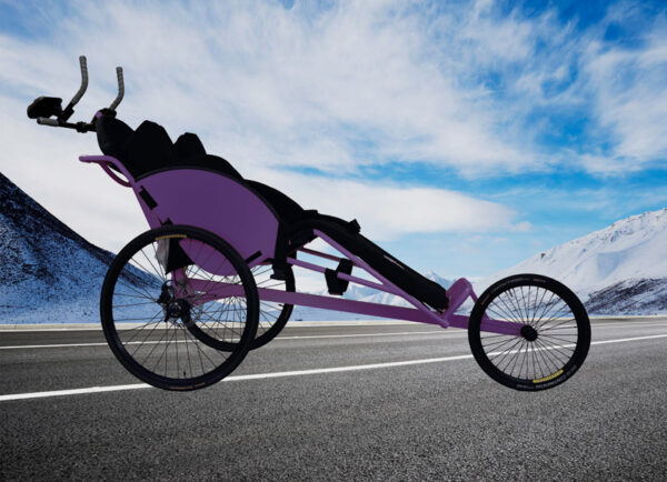 Hoyt Running Chair Purple - product image